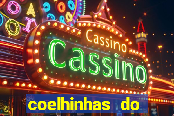 coelhinhas do brasil recife